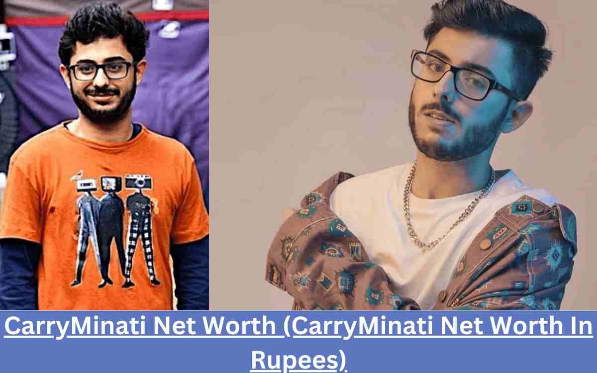 CarryMinati Net Worth (CarryMinati Net Worth In Rupees)