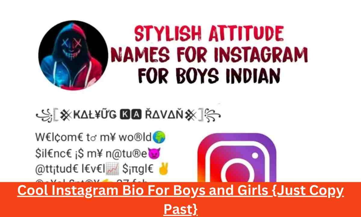Cool Instagram Bio For Boys and Girls {Just Copy Past}