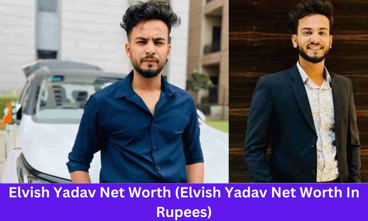 Elvish Yadav Net Worth (Elvish Yadav Net Worth In Rupees)