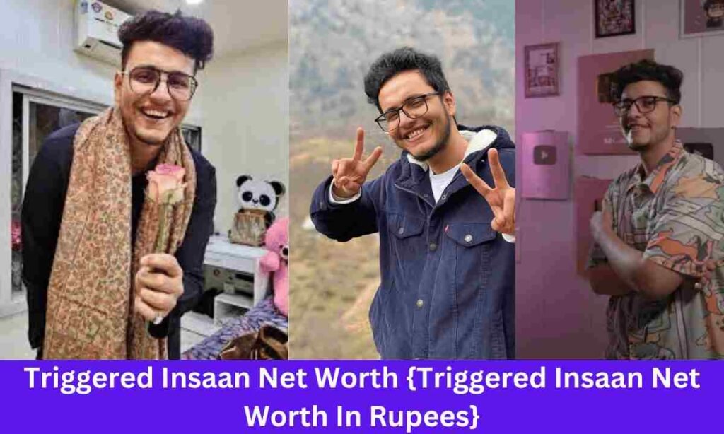 Triggered Insaan Net Worth {Triggered Insaan Net Worth In Rupees}